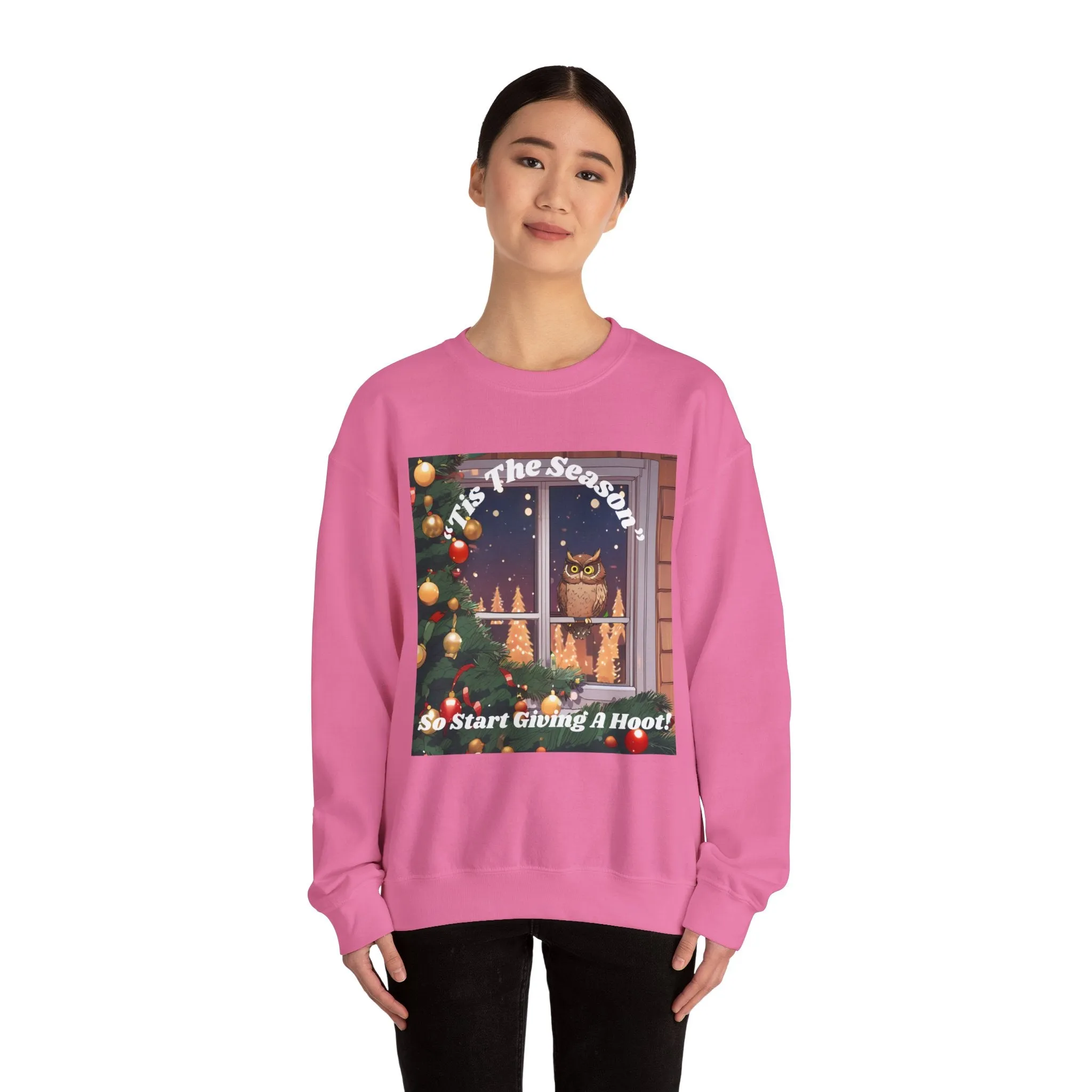 Christmas Owl Sweatshirt – 'Tis the Season to Give A Hoot!